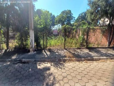 Terreno para Venda, em Tatu�, bairro Vila Americana