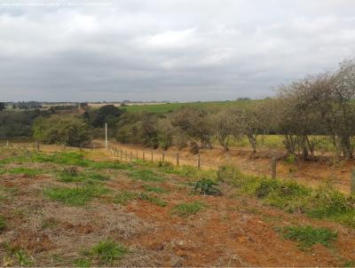 �rea Rural para Venda, em Quadra, bairro AREIAO